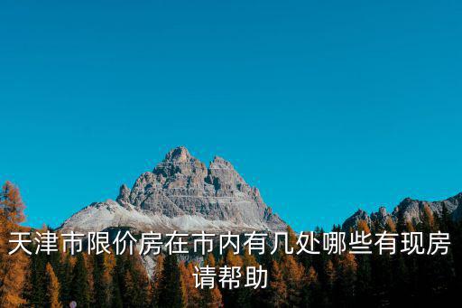 天津市限價(jià)房在市內(nèi)有幾處哪些有現(xiàn)房請(qǐng)幫助
