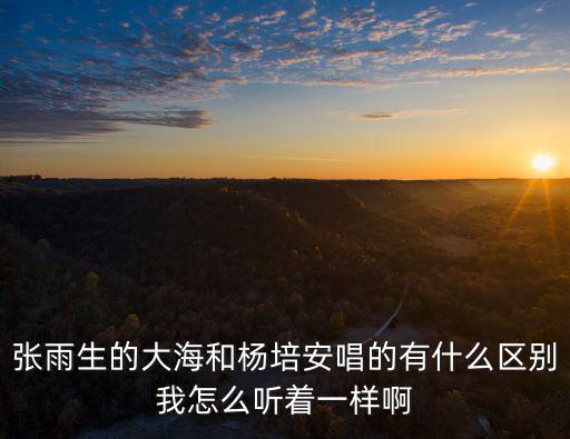 張雨生的大海和楊培安唱的有什么區別我怎么聽著一樣啊