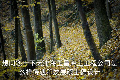 想問您一下天津海王星海上工程公司怎么樣待遇和發(fā)展碩士搞設(shè)計