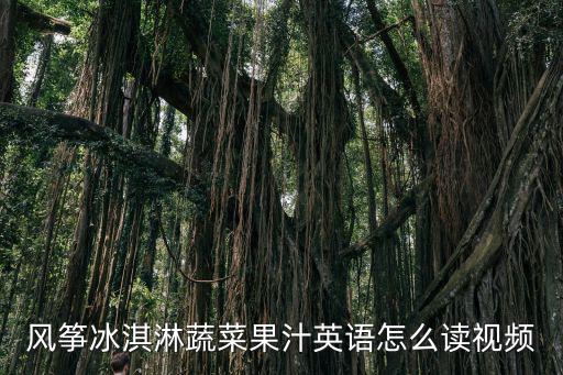 風(fēng)箏冰淇淋蔬菜果汁英語怎么讀視頻