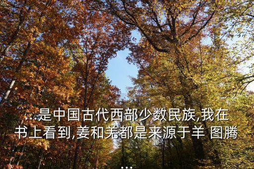 ...是中國古代西部少數民族,我在書上看到,姜和羌都是來源于羊 圖騰...
