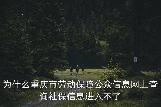 重慶市社會公眾網，在重慶市人力資源和社會保障局公眾信息網中怎么查單位的基本