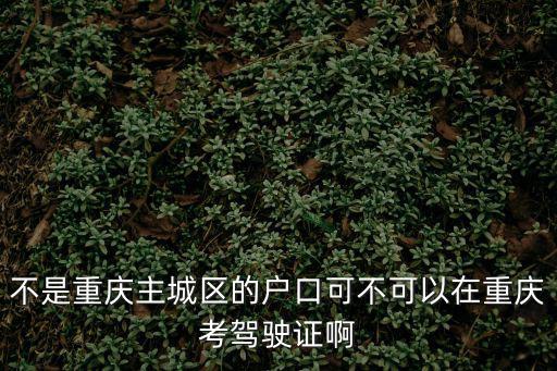 不是重慶主城區(qū)的戶口可不可以在重慶考駕駛證啊