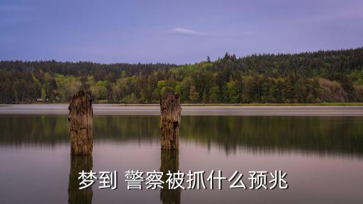 夢(mèng)到警察,男人多夢(mèng)警察預(yù)示好運(yùn)職場(chǎng)幸運(yùn)兒