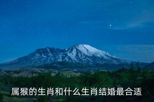 屬猴的生肖和什么生肖結婚最合適