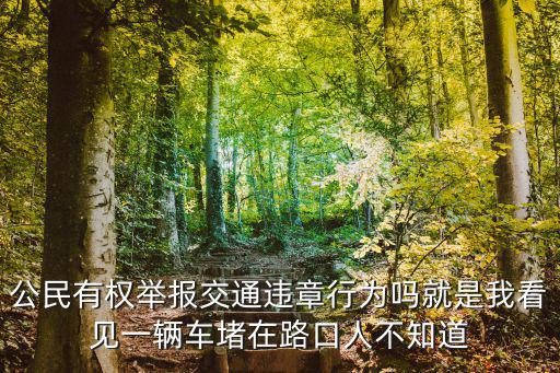 公民有權舉報交通違章行為嗎就是我看見一輛車堵在路口人不知道