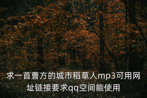 城市稻草人，知道城市稻草人么有何理解
