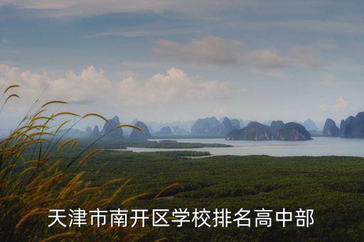 天津市南開區(qū)分流學(xué)校，天津市南開區(qū)天津大學(xué)下屬學(xué)校在哪