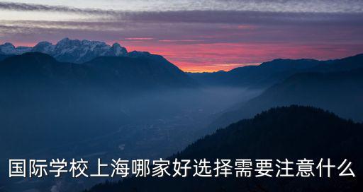 國(guó)際學(xué)校上海哪家好選擇需要注意什么