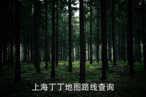 上海丁丁地圖路線查詢