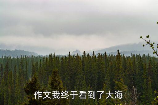 作文我終于看到了大海