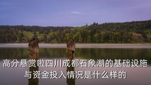 高分懸賞啦四川成都石象湖的基礎設施與資金投入情況是什么樣的