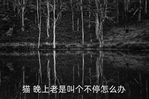 貓晚上叫,小貓一直叫怎么回事?主人要分析原因!
