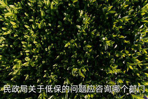 民政局關于低保的問題應咨詢哪個部門