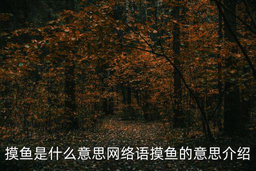 摸魚是什么意思網(wǎng)絡(luò)語摸魚的意思介紹