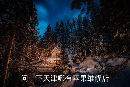 天津市蘋果維修站，請問天津哪里有蘋果維修點