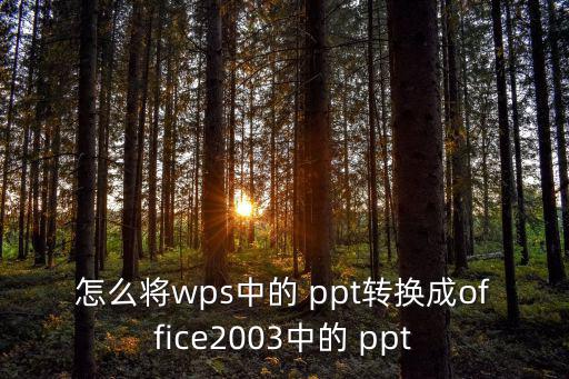 怎么將wps中的 ppt轉(zhuǎn)換成office2003中的 ppt