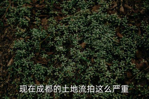 現在成都的土地流拍這么嚴重