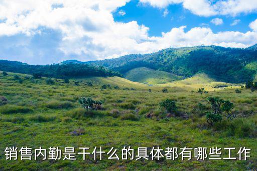 銷售內(nèi)勤是干什么的具體都有哪些工作