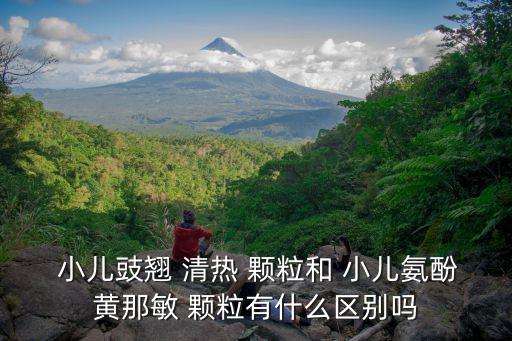  小兒豉翹 清熱 顆粒和 小兒氨酚黃那敏 顆粒有什么區(qū)別嗎