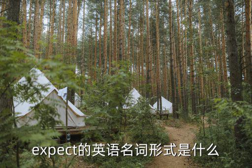 expect的英語名詞形式是什么