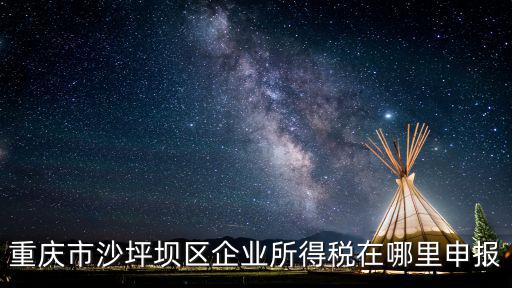 重慶市沙坪壩區企業所得稅在哪里申報