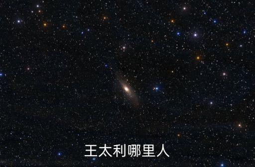 王太利哪里人