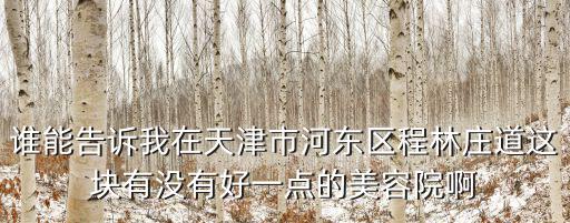 誰能告訴我在天津市河?xùn)|區(qū)程林莊道這塊有沒有好一點(diǎn)的美容院啊