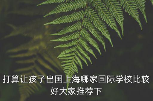 打算讓孩子出國(guó)上海哪家國(guó)際學(xué)校比較好大家推薦下