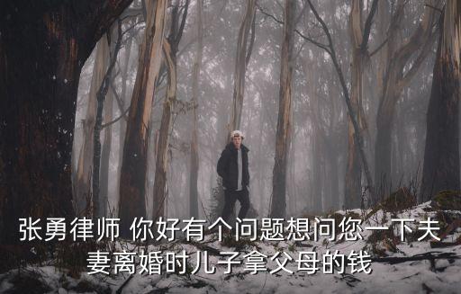 張勇 天津市高級人民法院，那張勇的頭到底有多大