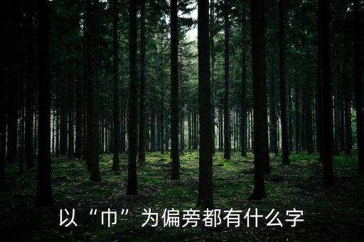 以“巾”為偏旁都有什么字