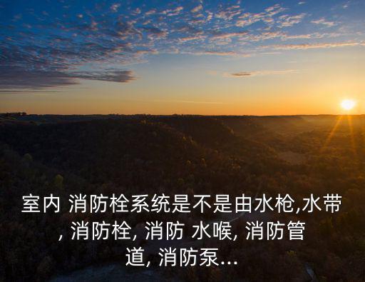 室內 消防栓系統是不是由水槍,水帶, 消防栓, 消防 水喉, 消防管道, 消防泵...