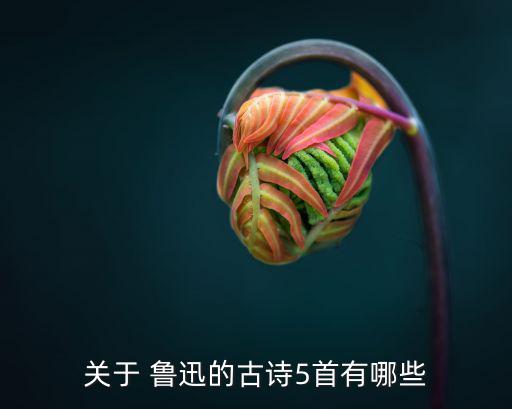 魯迅的詩,第二集:我的失戀