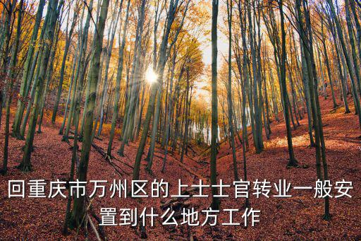 回重慶市萬州區(qū)的上士士官轉業(yè)一般安置到什么地方工作