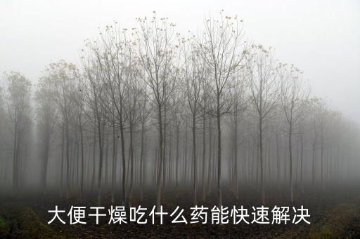 大便干燥吃什么藥，大便干操用什么藥
