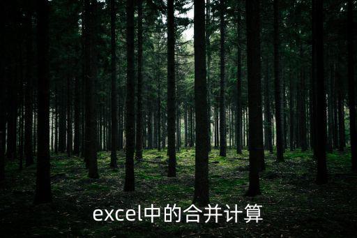 excel中的合并計算