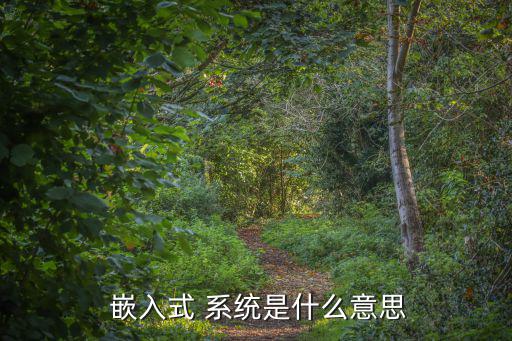  嵌入式 系統(tǒng)是什么意思