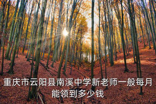重慶市云陽縣南溪中學新老師一般每月能領到多少錢