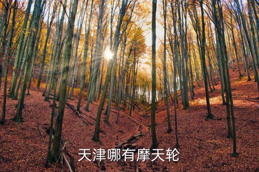 天津哪有摩天輪