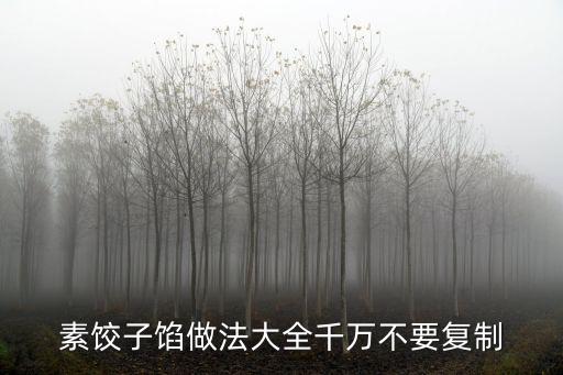 素餃子餡做法大全千萬不要復制