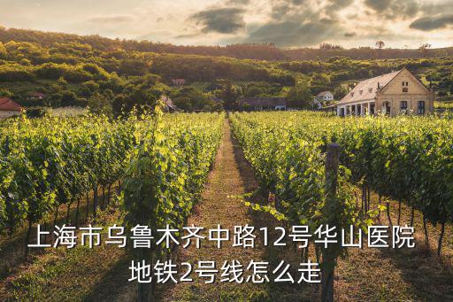 上海市烏魯木齊中路12號華山醫院 地鐵2號線怎么走