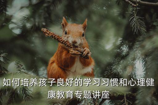 如何培養(yǎng)孩子良好的學(xué)習(xí)習(xí)慣和心理健康教育專題講座
