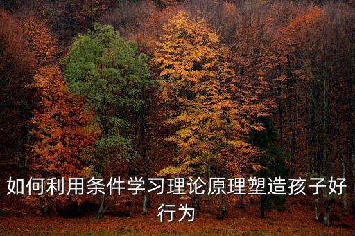 理論學習方面，如何利用條件學習理論原理塑造孩子好行為