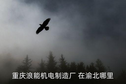 重慶市蝸桿工廠，重慶市璧山縣青山機械廠現在叫什么