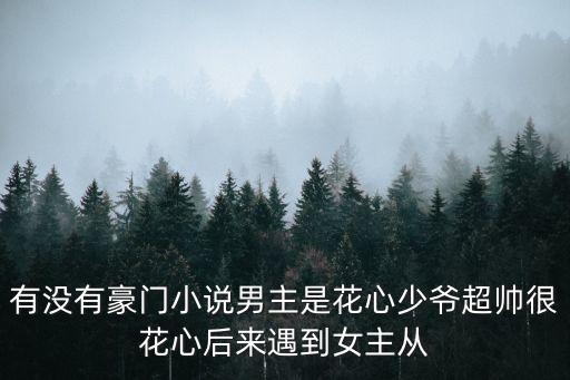 有沒有豪門小說男主是花心少爺超帥很花心后來遇到女主從