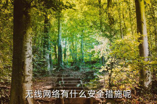 無線網(wǎng)絡有什么安全措施呢