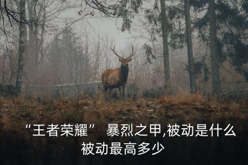 “王者榮耀” 暴烈之甲,被動是什么被動最高多少