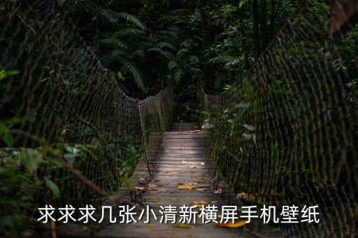 求求求幾張小清新橫屏手機壁紙