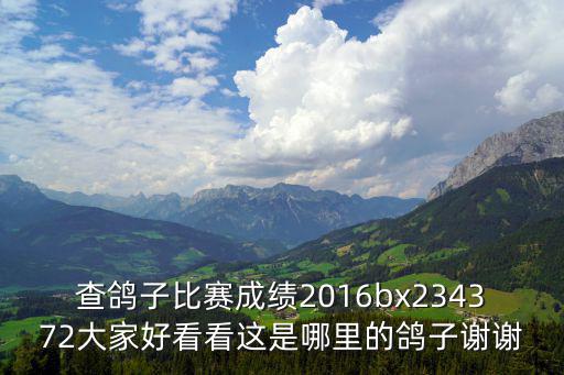 查鴿子比賽成績2016bx234372大家好看看這是哪里的鴿子謝謝