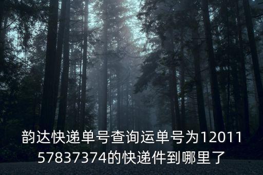 韻達快遞單號查詢運單號為1201157837374的快遞件到哪里了
